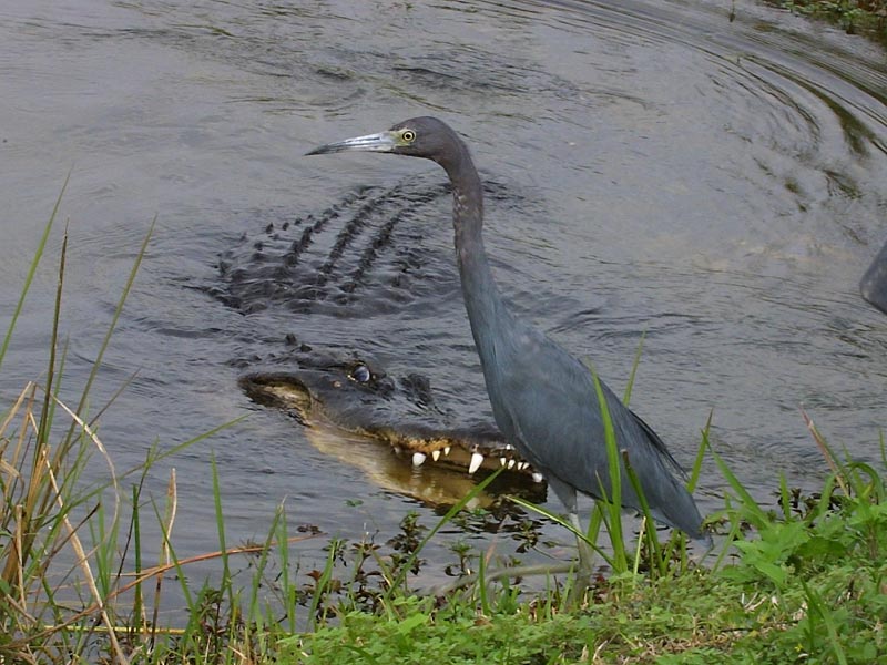 Exposure: 1/125 sec, f22, ISO400, 100mm