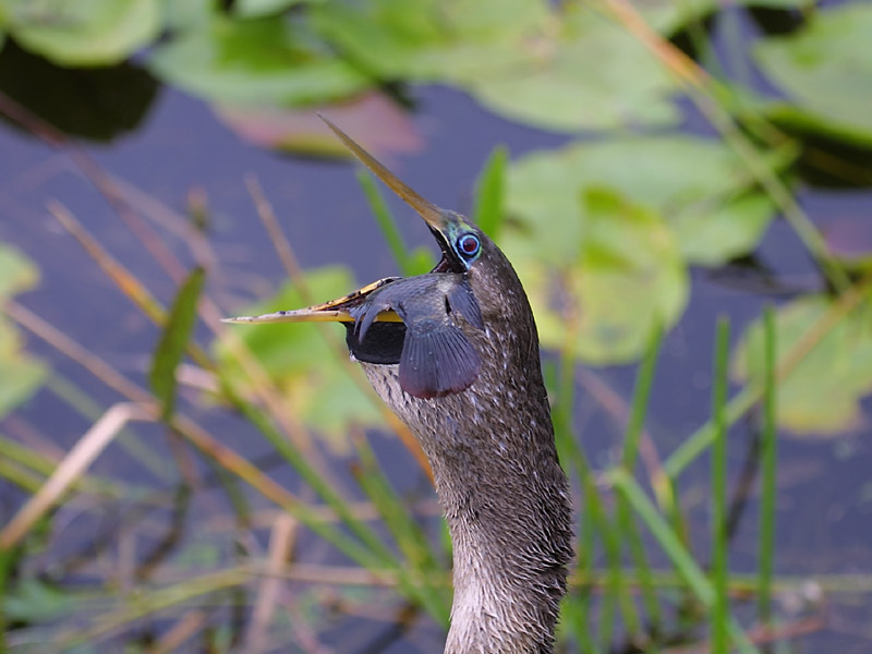 Exposure: 1/200 sec, f5.0, ISO100, 120mm