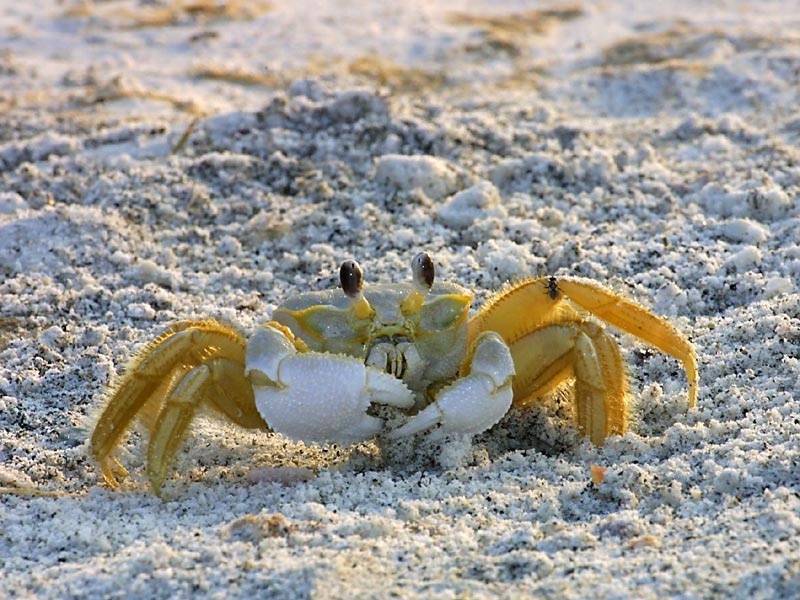 Exposure: 1/200 sec, f18, ISO400, 400mm