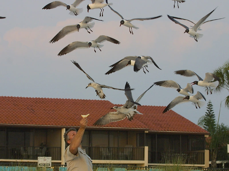 Exposure: 1/400 sec, f8.0, ISO400, 105mm