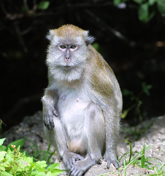 Exposure: 1/250 sec, f5.6, ISO400, 400mm