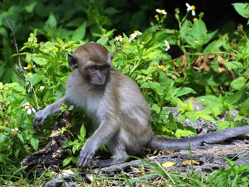 Exposure: 1/640 sec, f7.1, ISO400, 400mm