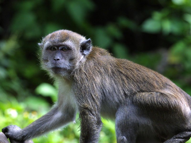 Exposure: 1/320 sec, f5.6, ISO400, 235mm