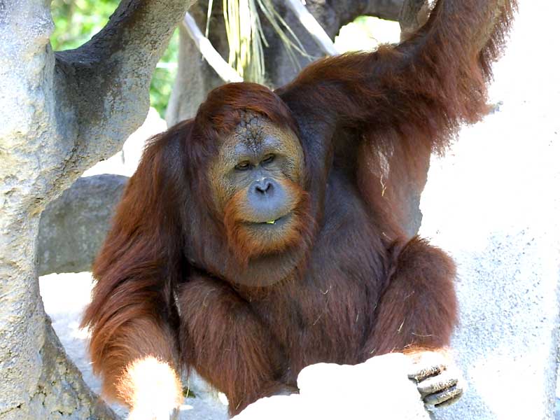 Exposure: 1/125 sec, f5.0, ISO400, 160mm