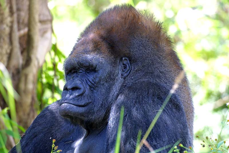 Exposure: 1/160 sec, f5.6, ISO400, 330mm